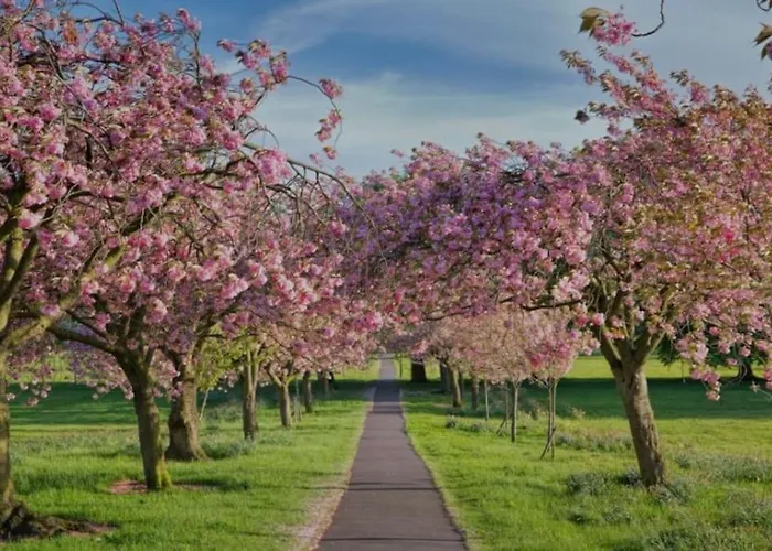 Lägenhet Stylish Near The Centre Of Harrogate