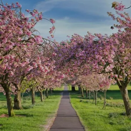 Apartment Stylish Near The Centre Of Harrogate